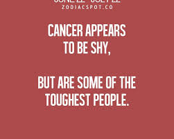 Sun, moon, asc personal daily horoscope transit chart calculator solar return, solar arc, progressions synastry, composite. Cancer Zodiac Sign Zodiac Memes