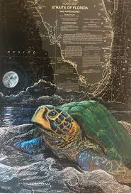 Nesting Sea Turtle Artist Collab In 2019 Sea Turtle Art