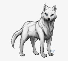 Follow the path of the guide as you darken the line and create the top part of the muzzle. Collection Of Free Wolf Transparent Black And White White Wolf Drawing Transparent Png Image Transparent Png Free Download On Seekpng