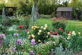 Pin On Garden Variety