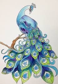 Peacock Drawing By Floralaurel On Deviantart – Cute766