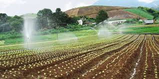 Resultado de imagem para projetos de irrigação