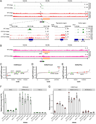 Controlling gene activation by enhancers through a drug-inducible  topological insulator
