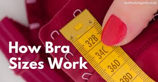 How Bra Sizes Work: A Full Guide