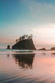 59 Best Ruby Beach And Others Close By Images Beach