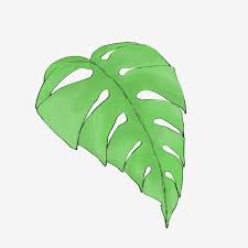 نبات أوراق الموز نباتات استوائية كرتون استوائي نباتات الكرتون png وملف psd للتحميل مجانا plant leaves plantain leaves plants