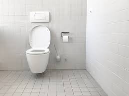 In my opinion, the title of runner up/second best toilet deserves to go to this kohler cimarron comfort height toilet. 10 Best Dual Flush Toilets In 2021