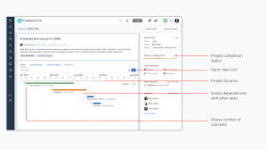 timeline charts kozen jasonkellyphoto co