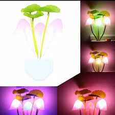 Harga di kami hanya 55.000 saja untuk yang biasa, dan 60.000 untuk lampion yang tahan banting. Harga Lampu Tidur Terbaik Agustus 2021 Shopee Indonesia