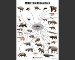 Extinct Animals Images Prehistoric Fauna Reconstructions Animals Images Extinct Animals Ancient Animals