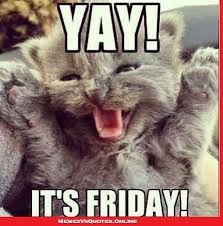 Check spelling or type a new query. Best Happy Friday Meme And Images Funny Freaky 13th Photos Gifs Memes Vs Quotes