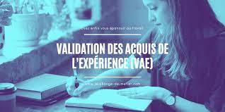 We did not find results for: Validation Des Acquis De L Experience Vae Guide Complet