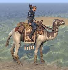 Like i said before, this is a personal setup and just an example on how i make sute tea. Eso Fashion Zeht S Cloud Camel Elder Scrolls Online