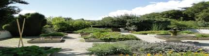 Hildegardis kreuzschwestern, und auf der gegenüberliegenden rheinseite, kloster eibingen, waren stätten ihres wirkens. Der Klostergarten Hildegard Garten Hildegard Center