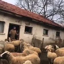 (25), arkadaşlarıyla mangal yakmaya başladı. Lale Haber Koronavirus Ile Mucadele Ancak Bu Kadar Guzel