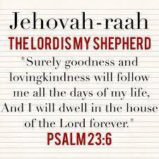 Jehovah Raah The Lord Is My Shepherd Surely Goodness And Lovingkindness Will Follow Me All The D Inspirational Bible Quotes Names Of God Inspirational Quotes