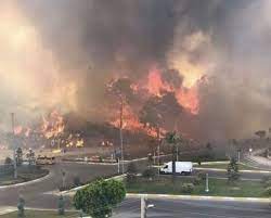 We did not find results for: Axujxo6n6rmpxm