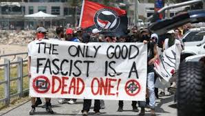 Image result for antifa violence