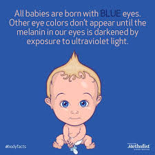 All Babies Are Born With Blue Eyes Other Eye Colors Don T Appear Until The Melanin In Our Eyes Is Darkened By Exposure To U Eye Color Kids Corner Ultra Violet