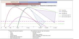 Diagnostic Strategies For Sars Cov 2 Infection And Interpretation Of Microbiological Results Clinical Microbiology And Infection