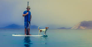 You'll find plenty of inspiration below in our big list of hobbies. 5 Hobbies To Start While In Quarantine Omilights