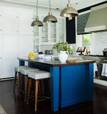 kitchen with navy walls contemporary