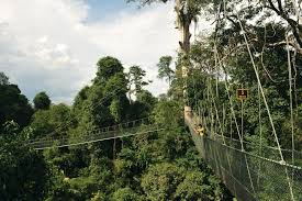 Malaysia Truly Asia - Back To Nature At Taman Negara Kuala Koh