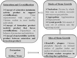 Kidney Stone Analysis Techniques And The Role Of Major And Trace Elements On Their Pathogenesis A Review Abstract Europe Pmc