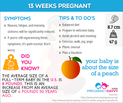 Pin On Pregnancy Weeks