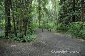 The clam band is a wide stretch of sand and gravel extending from. Birch Bay State Park Campsite Photos Reservations And Camping Info