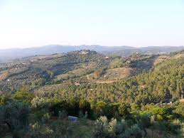 Holiday home villino sibilla terra castagneto carducci. Castagneto Carducci Bilderbuch Toskana Mee H R Erleben