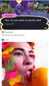 I Still Haven T Found My Berries Animal Crossing Funny Animal Crossing Memes Animal Crossing