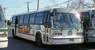 Image result for Jewel Green 2007 Transit