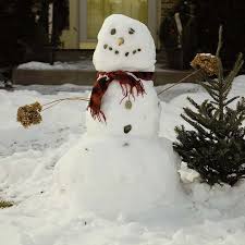 What Did One Snowman Say To The Other Snowman Can You Smell Carrot What Is Your Favouri Overnight Face Mask Lavender Body Butter Pink Bouquet