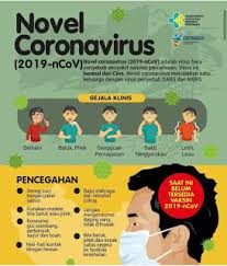 Pin Di Corona Virus Facts