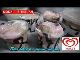 Siapkan panci untuk merebus, masukkan susu kental manis, air, tepung maizena, garam, susu bubuk, santan, dan gula pasir. Www Cara Membuat Es Krim Lembut Bisabo Channel
