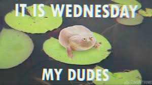 Set A Different Alarm For Every Day Of The Week Wednesday Song Cute Memes Screaming Frog