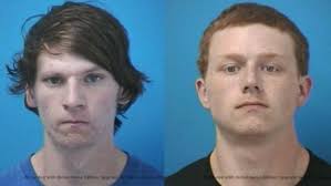 Adults, juvenile facing slew of charges after pregnant deer found skinned  in Franklin pool