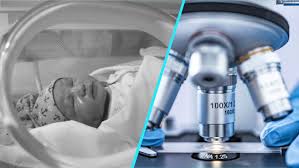 Edumedical Sarcina Si Nou Nascut Archive Edumedical