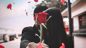 Use them in commercial designs under lifetime, perpetual & worldwide rights. Valentine Week 2020 Happy Rose Day 2020 Which Colour Of Rose You Should Give Her To Express What Is Left Unsaid News Nation English