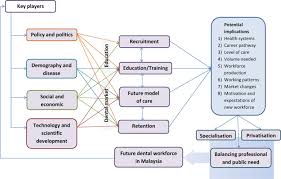For more information and source,. The Dental Workforce In Malaysia Drivers For Change From The Perspectives Of Key Stakeholders Sciencedirect