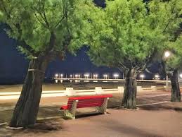Cdo On Instagram Arcachon Igersarcachon Night Banc Red Rouge C Cdo Arcachon Outdoor Outdoor Decor