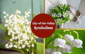 We did not find results for: Lily Of The Valley Meaning And Symbolism Symbol Sage