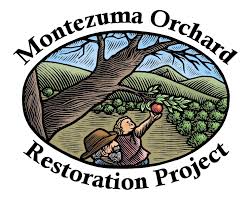 Trees are more likely to succumb to. Montezuma County S Heirloom Fruit Trees Ksjd
