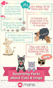 Strange Facts About Cats Dogs Cat Facts Cat Sleeping Dog Nose Print