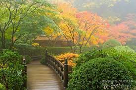 Bridge And Tea House In Fog Portland Japanese Garden Japanese Garden Fall Container Gardens