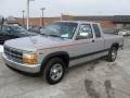 Image result for Silver Star 1993 Dakota