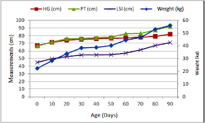 Lowongan pt sansan saudaratex jaya tasikmalaya lowongan kerja terbaru tahun 2020 informasi rekrutmen cpns pppk 2020. 2