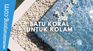 Mau bikin taman minimalis di rumah? Inspirasi Kolam Dengan Batu Koral Alami Jual Batu Alam Terlengkap Dijakarta