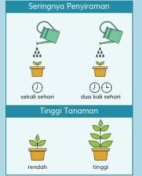 Silahkan akses dengan pilih salah satu link di bawah ini sesuai dengan level dan kelasnya. Contoh Soal Akm Penjaskes Sd Studi Indonesia